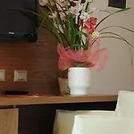 Opera ホテル