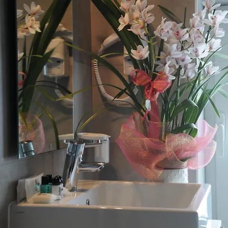 酒店 欧佩拉酒店 3*