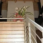 Opera
